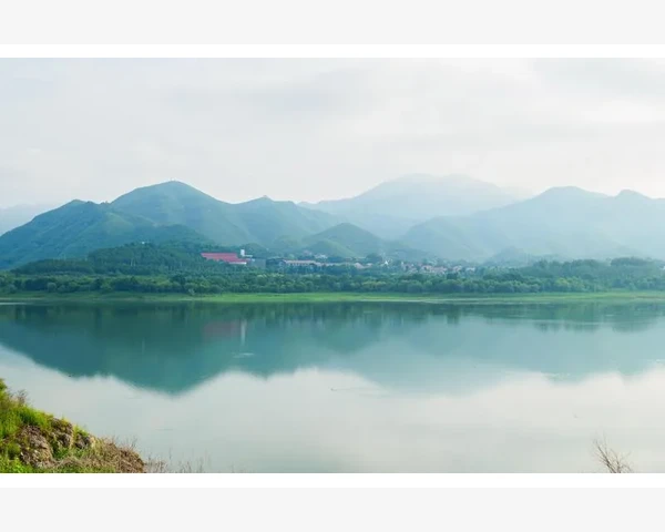 气血不足可以吃三七粉吗？