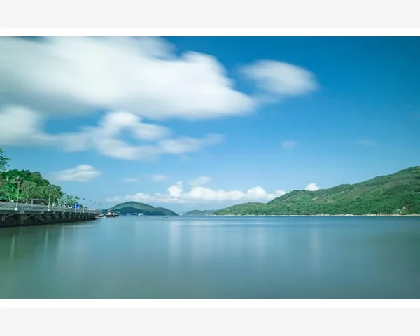 补气补血的药：滋养生命的秘密