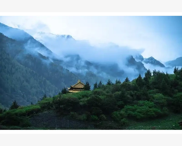 中医秘方：清热祛湿消积化痰 尽享健康轻松生活